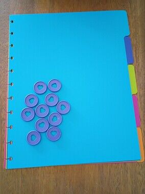 TUL Letter Size 5 Pc Dividers and Happy Planner Discs *** Final Price ***